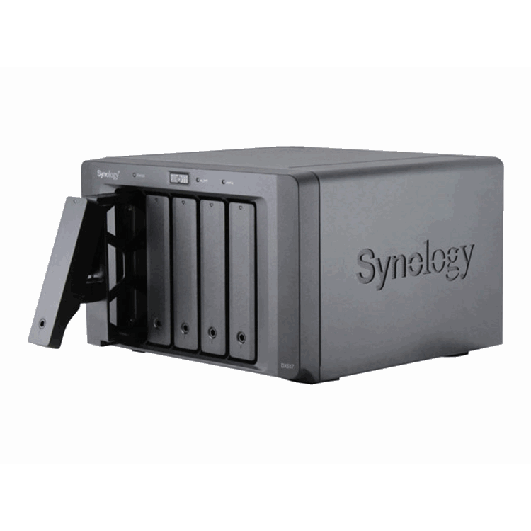 SYNOLOGY DX517