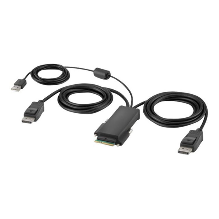 2-Port Dual Head DP Modular Secure KVM S