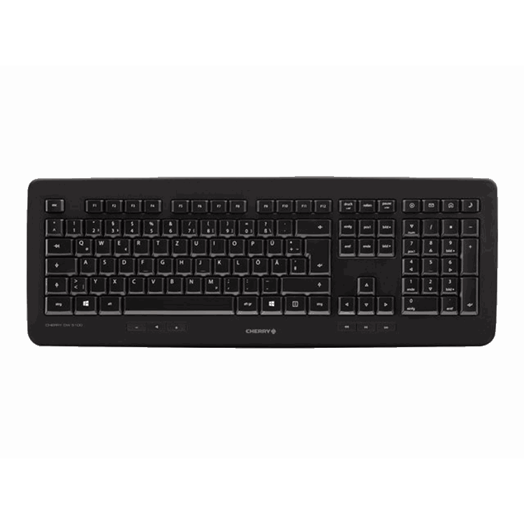 CHERRY DW 5100 Keyboard and Mouse CHERRY DW 5100 Keyboard and Mouse