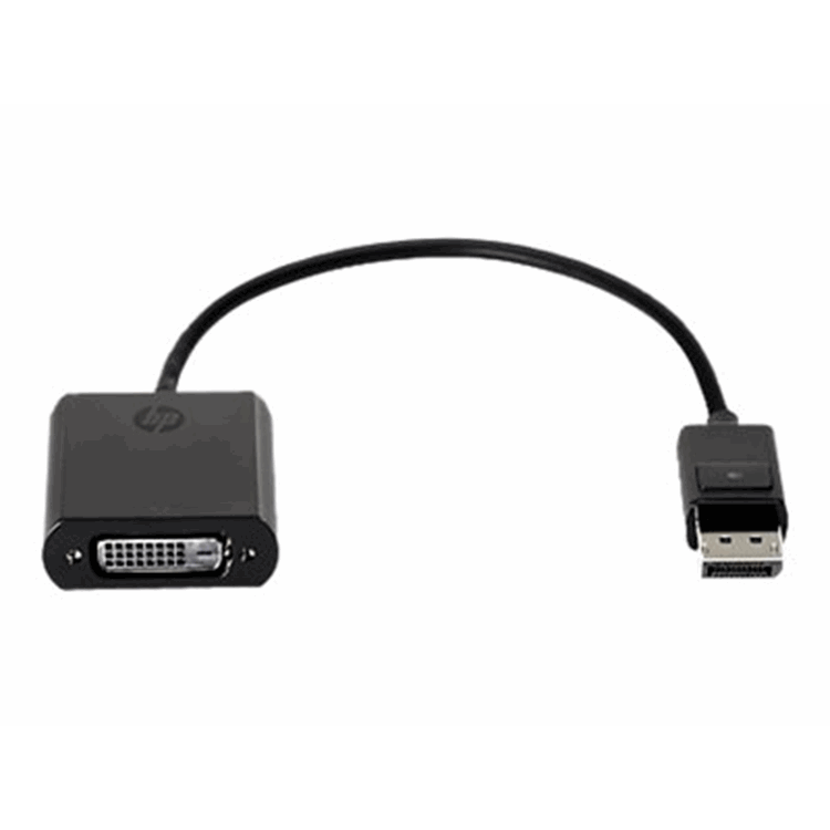 HP Display Port to DVI Adapter HP Display Port to DVI Adapter