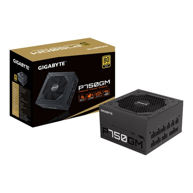 GIGABYTE GP-P750GM 750W ATX 12V v2.31