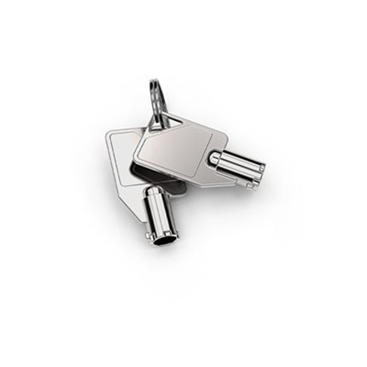 MASTER KEY FOR KD ENCLOSURE 50 MASTER KEY FOR KD ENCLOSURE 50