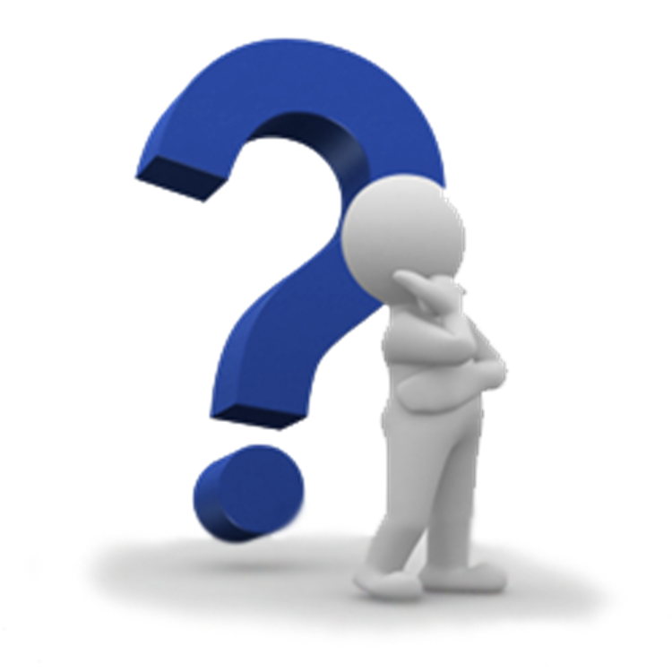 Cbl/10M Yellow CAT6PVC SLess UTP  C