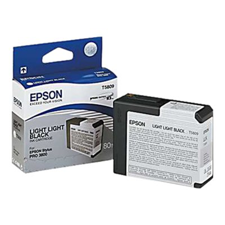 INK CARTRIDGE T580900 LIGHT LIGHT BLACK