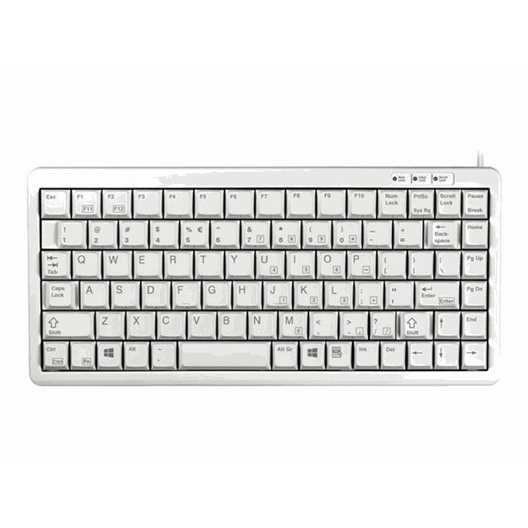 G84-4100 compact keyboard grey USB (PS/2 via adapter)