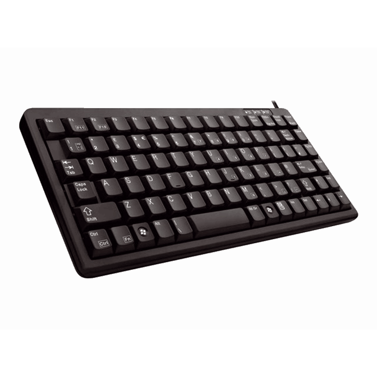 G84-4100 compact keyboard black USB (PS/2 via adapter)