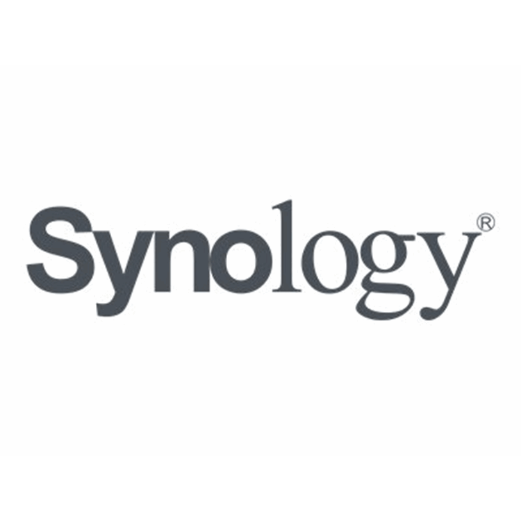 Synology D4ECSO-2666-16G
