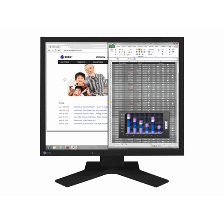 Flexscan/19 Inch/1280 x 1024/Black/IPS/14ms/ 250cd/m2/1000:1/LED Backlight Flexscan/19 Inch/1280 x 1024/Black/IPS/14ms/ 250cd/m2/1000:1/LED Backlight