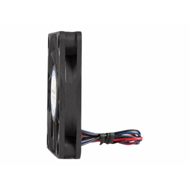 6X1CM 3 PIN BALL BEARING 6X1CM 3 PIN BALL BEARING