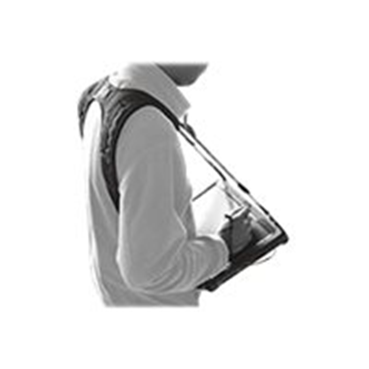 Shoulder Harness 4-point