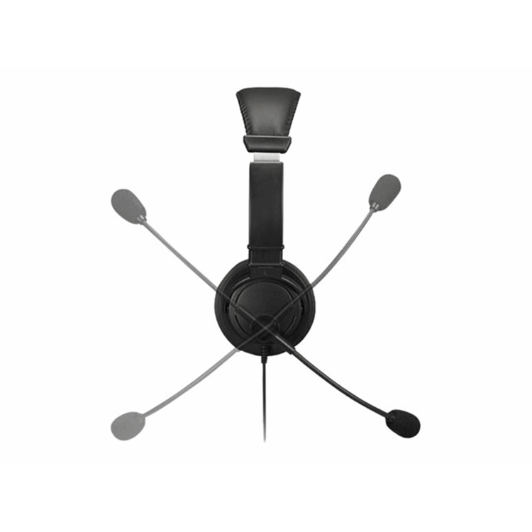 HiFi Headphones with HiFi Headphones with