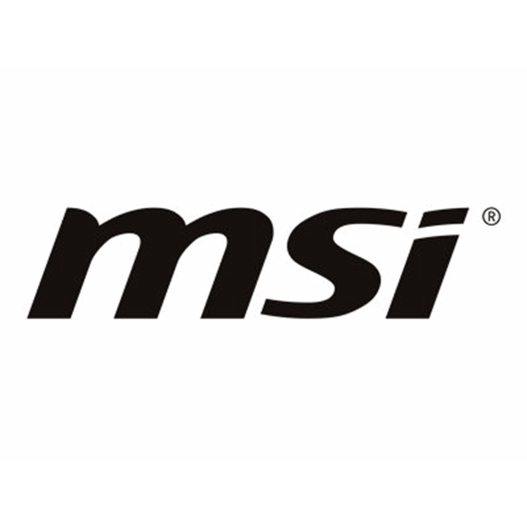 MSI MAG A550BN 550W Power Supply