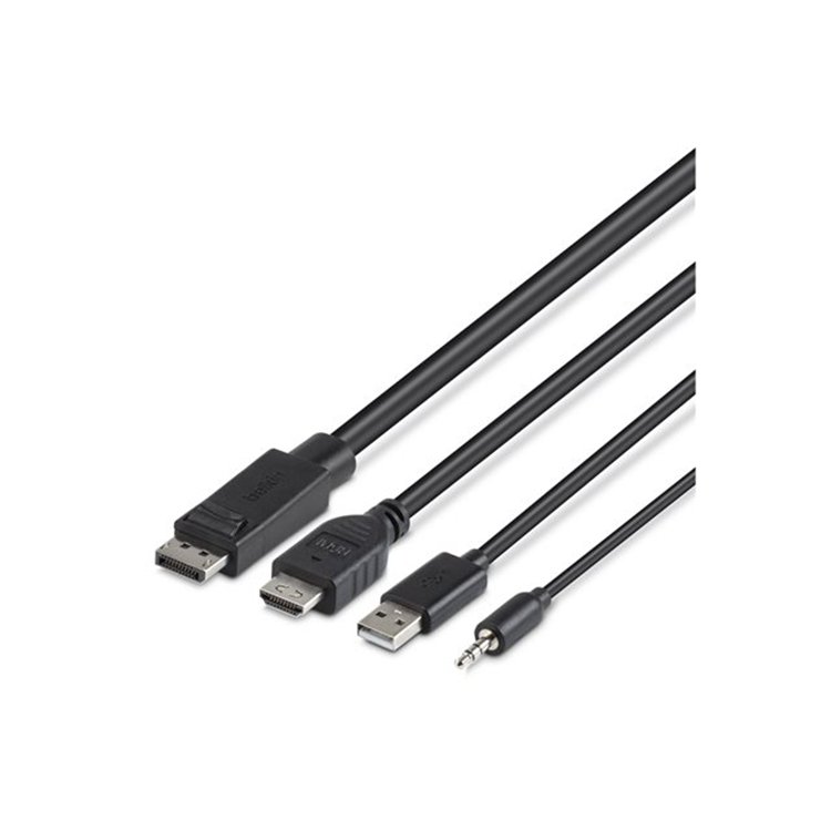 TAA Dual Head HDMI/DP to DP and HDMI Co
