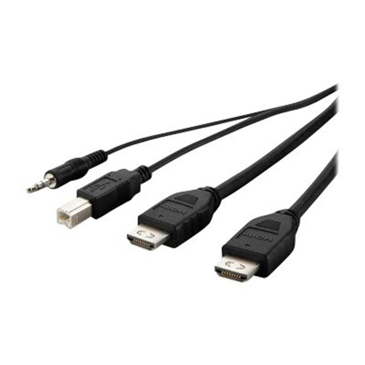 TAA Dual-Head DVI-D to HDMI High Retenti TAA Dual-Head DVI-D to HDMI High Retenti