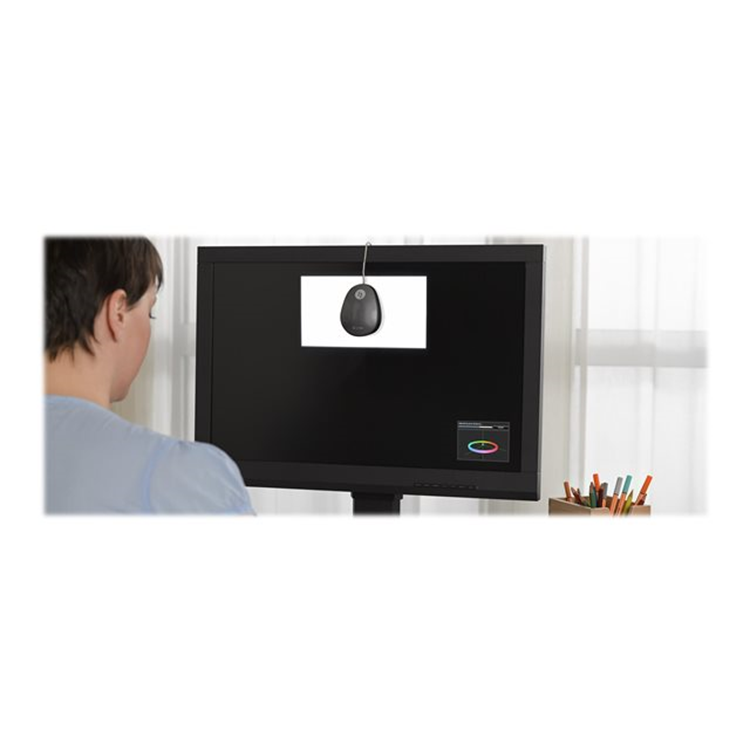 27 Inch ColorEdge 2560 x 1440/ Black/ IPS/ 16MS/ 350CD/m2/ 100:1/ USB 3.1/ Led Backlight 27 Inch ColorEdge 2560 x 1440/ Black/ IPS/ 16MS/ 350CD/m2/ 100:1/ USB 3.1/ Led Backlight