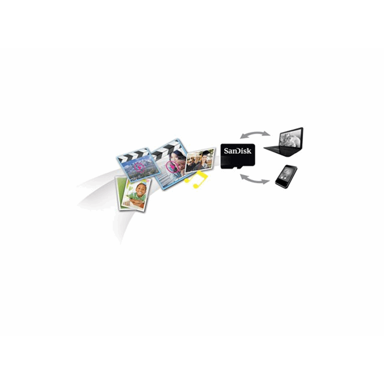 SanDisk microSDHC 32GB Card Only