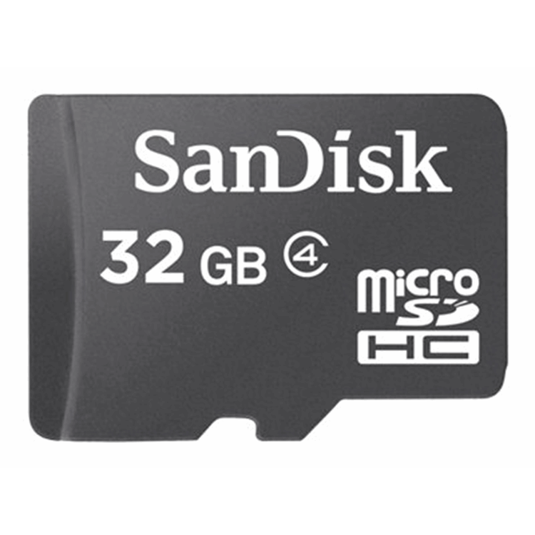 SanDisk microSDHC 32GB Card Only