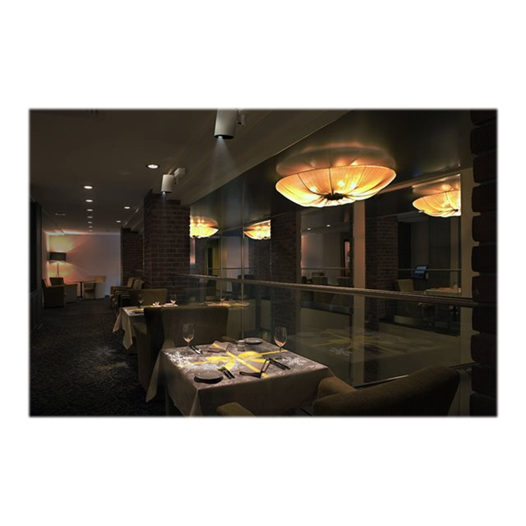 LightScene EV-110 LightScene EV-110