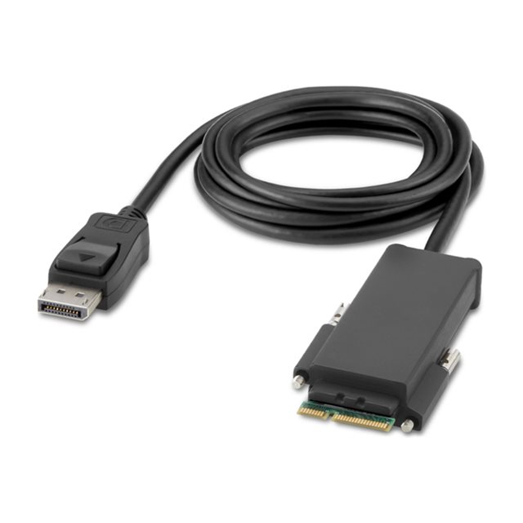 BELKIN 2-Port Single Head DP KVM Switch BELKIN 2-Port Single Head DP KVM Switch