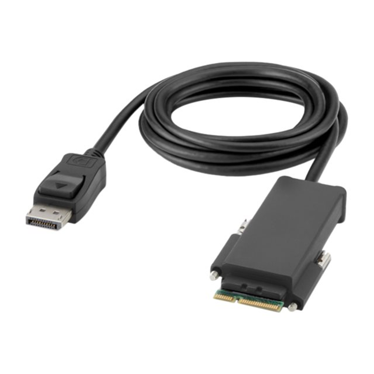 BELKIN 2-Port Single Head DP KVM Switch BELKIN 2-Port Single Head DP KVM Switch