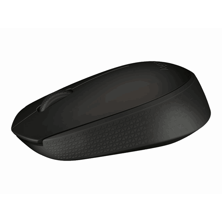 Wireless Mouse B170 BLACK BP
