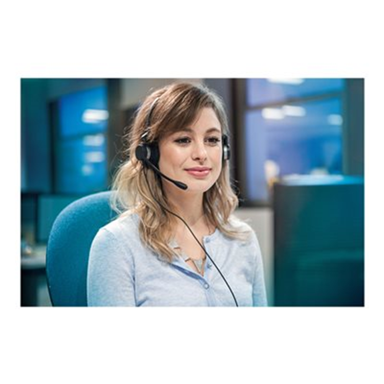 Jabra BIZ 2300 Duo Typ: 82 E-STD