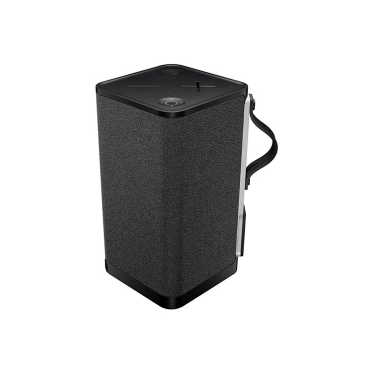 Ultimate Ears HYPERBOOM BLACK - PLUGC -