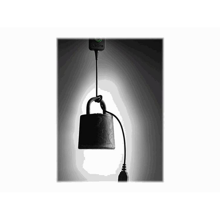 Jabra BIZ 2300 USB Duo for MS