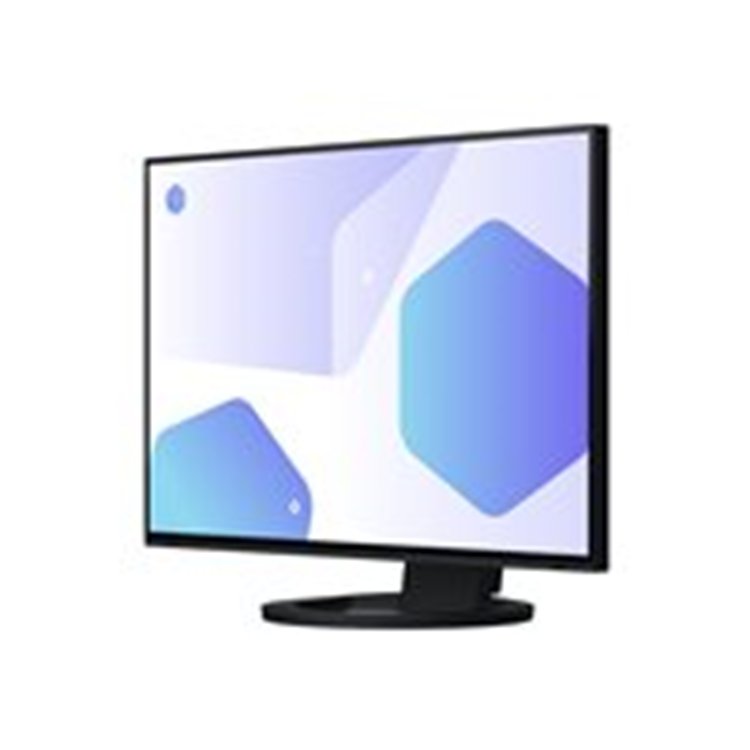 EIZO 24inch IPS LCD 1920x1200