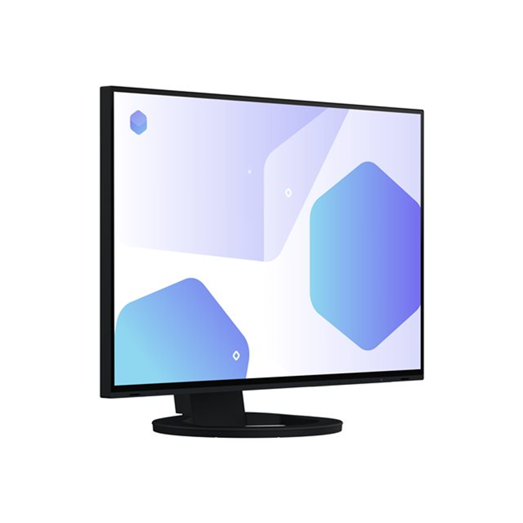EIZO 24inch IPS LCD 1920x1200 EIZO 24inch IPS LCD 1920x1200