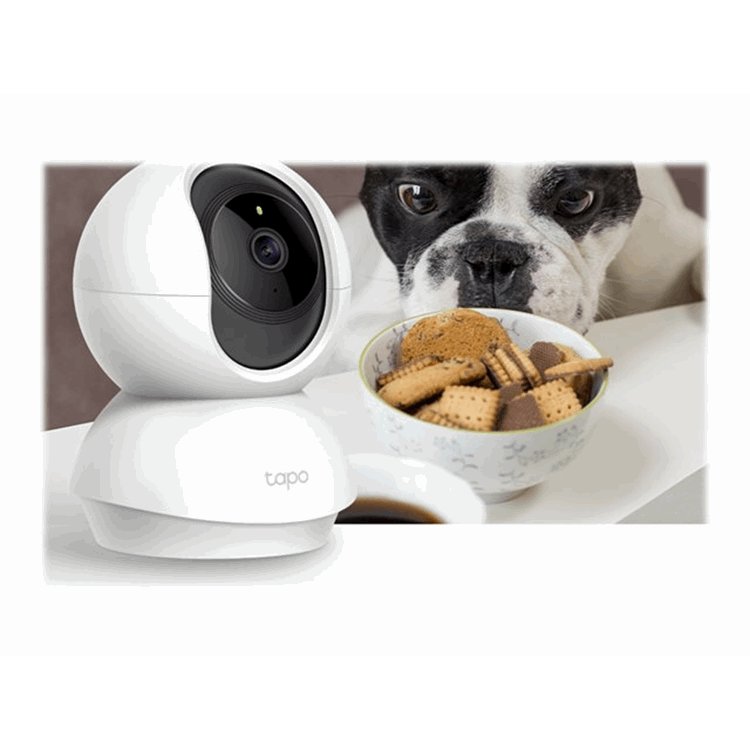 TP-Link Tapo C200