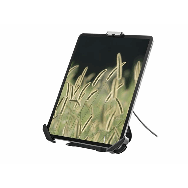 Secure Tablet Stand/Mount - 7.9-13 inch