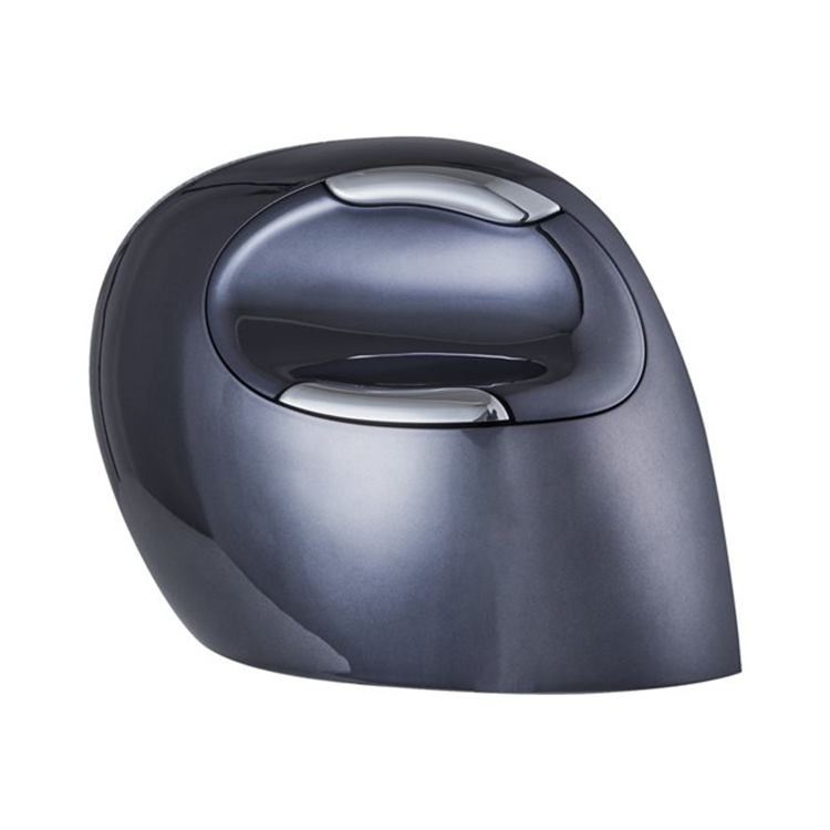 Bakker Evoluent D Mouse Large WL