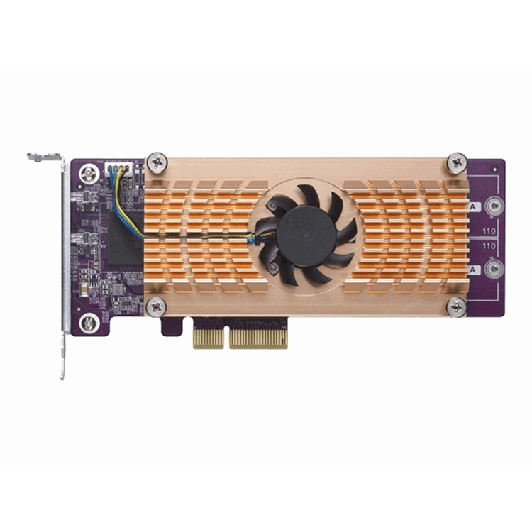 Dual M.2 22110/2280 SATA SSD