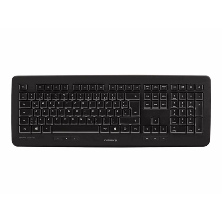 CHERRY DW 5100 Keyboard and Mouse Set CHERRY DW 5100 Keyboard and Mouse Set