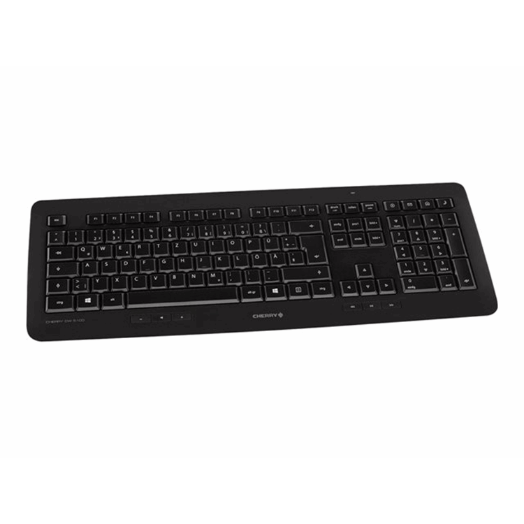 CHERRY DW 5100 Keyboard and Mouse Set CHERRY DW 5100 Keyboard and Mouse Set