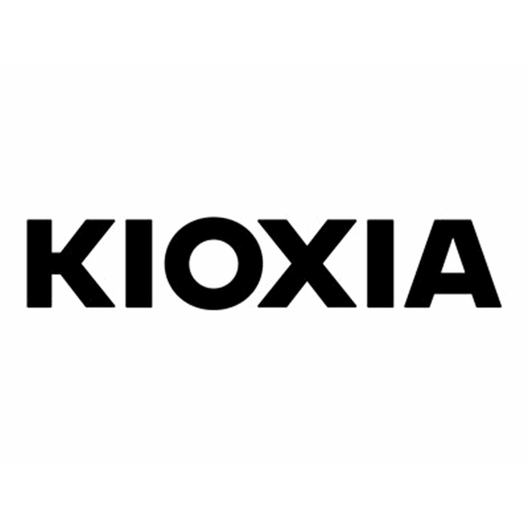 X121 CM7-R eSDD PRO 3.8T PCIe E3.S SIE