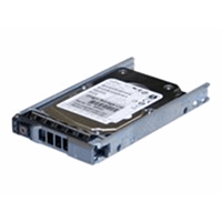 900GB 10k P Edge R/T x10 Series