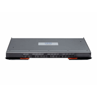 IBM Flex EN4091 10Gb Eth Pass-thru IBM Flex EN4091 10Gb Eth Pass-thru