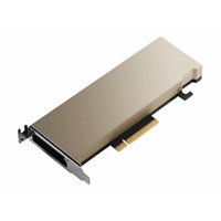 A2 16GB PCIe Gen4 Pas A2 16GB PCIe Gen4 Pas