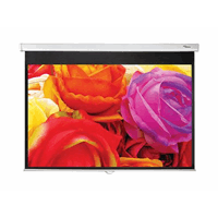 DS-1123PMG+/manual screen 16:10/166x266 DS-1123PMG+/manual screen 16:10/166x266