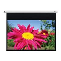 DE-1095EGA/Electr pull down screen 16:10 DE-1095EGA/Electr pull down screen 16:10