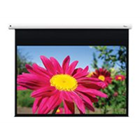 DE-1095EGA/Electr pull down screen 16:10 DE-1095EGA/Electr pull down screen 16:10