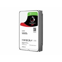 IRONWOLF 4TB NAS