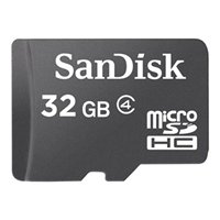 SanDisk microSDHC 32GB Card Only