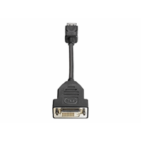 DISPPort To DVI-D ADAPT DISPPort To DVI-D ADAPT