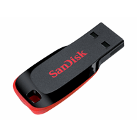 SanDisk USB Cruzer Blade 32GB