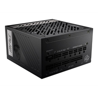 PSU MPG A1000G PCIE5 PSU MPG A1000G PCIE5