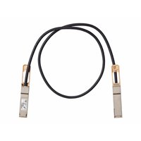100GBASE-CR4 Passive Copper Cable 2m 100GBASE-CR4 Passive Copper Cable 2m