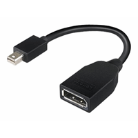 miniDP to DP adapter miniDP to DP adapter